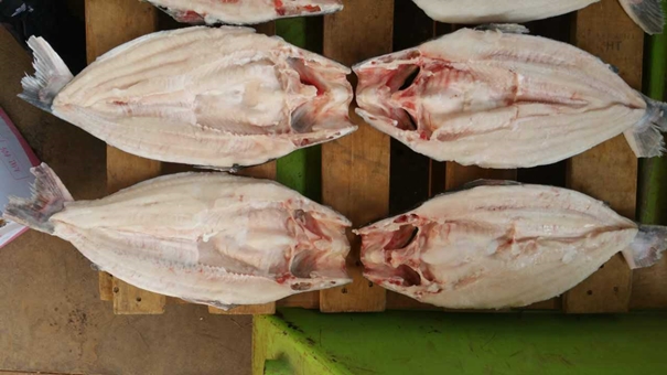 越南巴沙魚進口報關重點難點