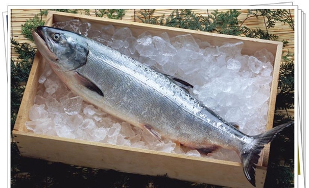 上海水產品進口報關公司