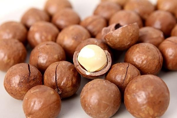 上海堅果進口報關代理一般貿易進口 上海堅果進口報關代理一般貿易進口