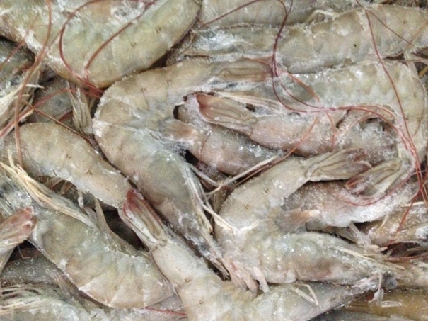 冷凍水產(chǎn)品進(jìn)口清關(guān)資料簡(jiǎn)介進(jìn)口水產(chǎn)品標(biāo)簽問題 冷凍水產(chǎn)品進(jìn)口清關(guān)資料簡(jiǎn)介進(jìn)口水產(chǎn)品標(biāo)簽問題