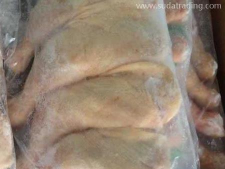 禽類產品東莞進口代理清關資料與注意事項