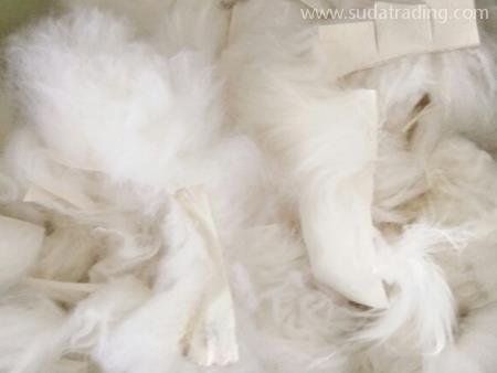 羊毛東莞進口代理清關方案整理！