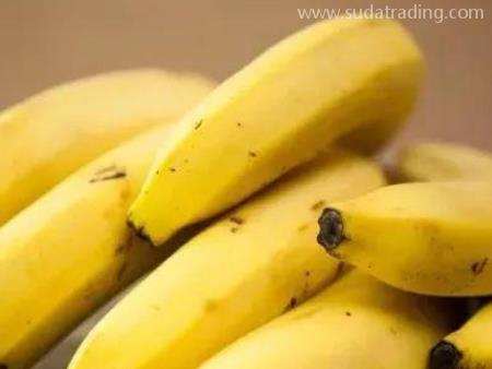 菲律賓香蕉廣州老港進口報關前要了解這幾件事！