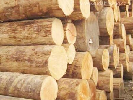 木材東莞沙田進口報關流程與運輸要點