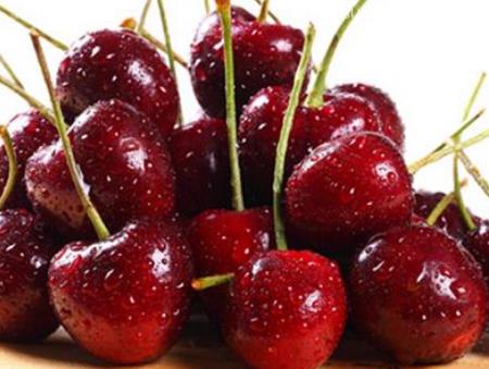 水果廣州碼頭進口報關檢驗檢疫資料