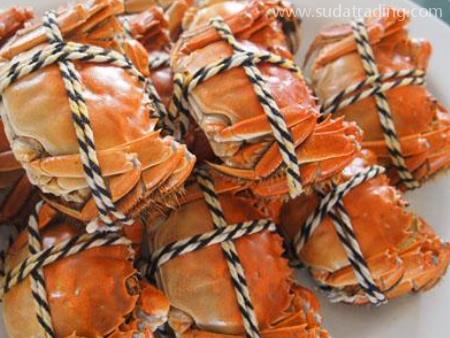 螃蟹進口機場海關報關需要什么資料？