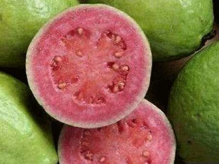 番石榴進口深圳機場報關流程