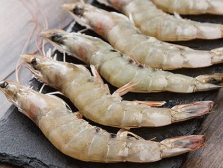 南美白蝦進口空運報關要記住這個流程！