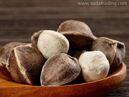 進口新資源食品報關(guān)標簽備案有這些要點！