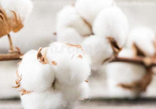 【清關指南】進口棉花清關前一定要準備的資料！