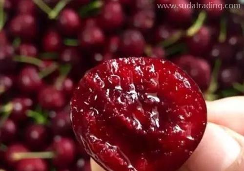 干貨！進(jìn)口車?yán)遄訄?bào)關(guān)這些要點(diǎn)你一定要了解