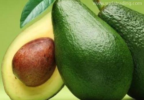 進口智利鱷梨報關如何操作？【進口知識】