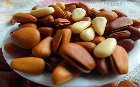 國外松子進口報關清關[全套代理服務]