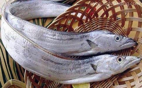 冷凍海鮮帶魚進口報關清關指南!