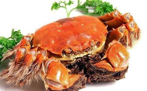 一站式代理螃蟹進口報關清關,快速通關