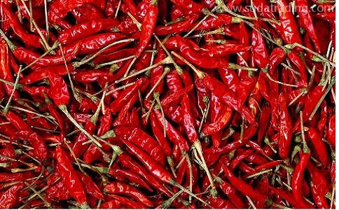 印度辣椒干進口報關專業操作清關通關快 印度辣椒干進口報關專業操作清關通關快