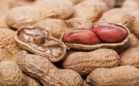 食品清關公司|專業的花生進口清關代理公司