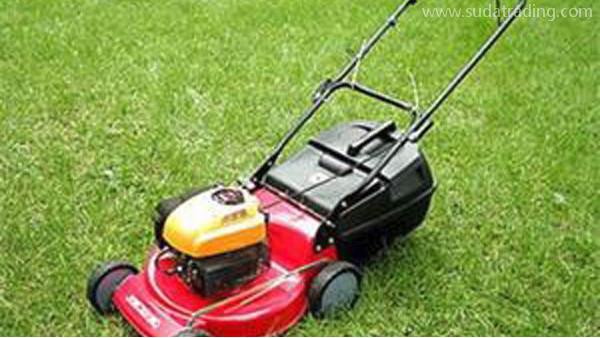 德國割草機進口流程