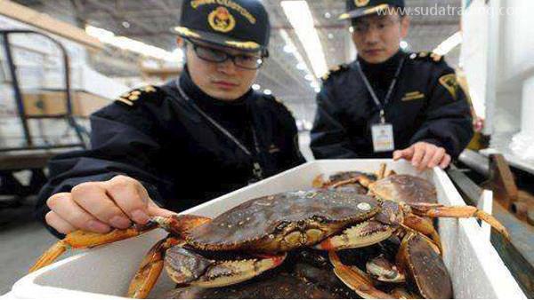 海鮮進口需要知道的事