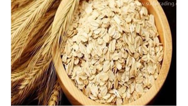 上海麥片進口清關流程