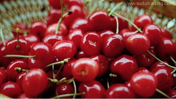 進口櫻桃如何甄別原產地和質量？