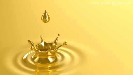 潤滑油進口報關注意事項，深圳潤滑油進口報關公司解析