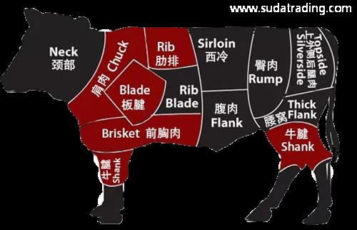 進口牛肉怎樣規范申報？