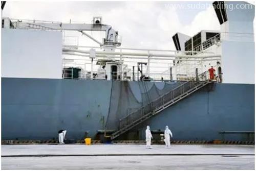 進口種牛通關秘籍