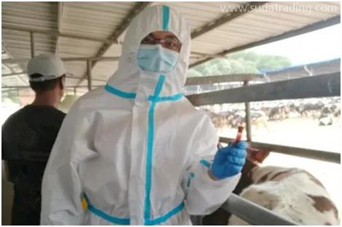 進口種牛通關秘籍