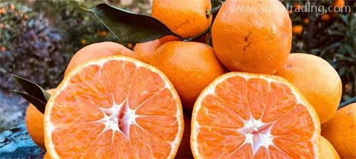 部分動植物產品規范申報要素調整詳解