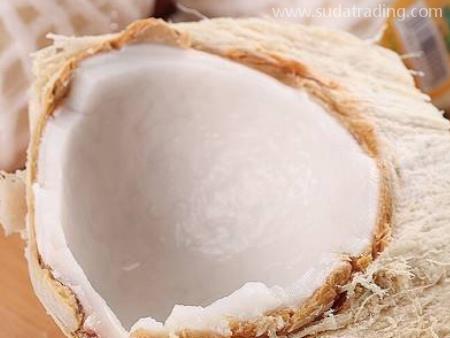 泰國椰青東莞代理報(bào)關(guān)要點(diǎn)內(nèi)容！