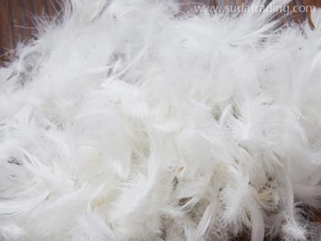 鵝毛廣州進口清關(guān)需要什么資料？流程是怎樣的？