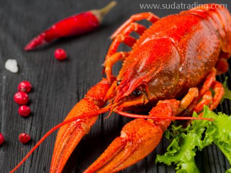 進口龍蝦深圳機場代理報關流程