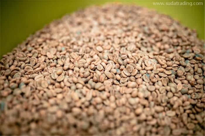 咖啡生豆進口關稅進口咖啡生豆報關稅率 咖啡生豆進口關稅進口咖啡生豆報關稅率