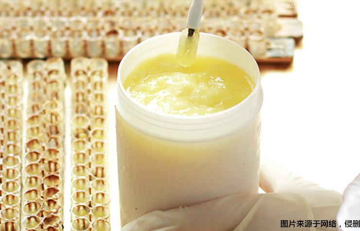 巴西蜂王漿進(jìn)口清關(guān)流程蜂王漿清關(guān)公司 巴西蜂王漿進(jìn)口清關(guān)流程蜂王漿清關(guān)公司