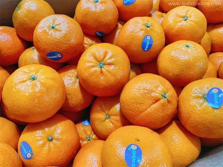 武漢二手車出口報關公司