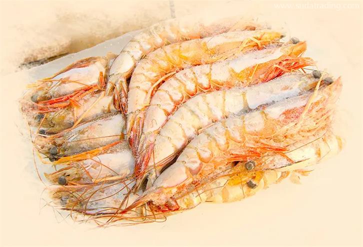 進口印尼冷凍蝦清關的監管必要性 進口印尼冷凍蝦清關的監管必要性