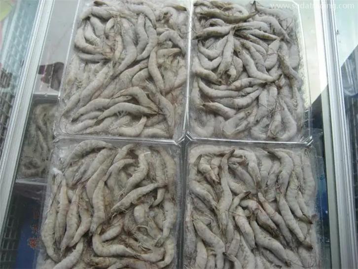 天津冷凍產(chǎn)品進(jìn)口報(bào)關(guān)公司 天津冷凍產(chǎn)品進(jìn)口報(bào)關(guān)公司