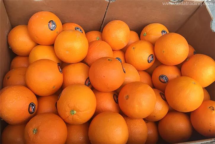 上海黃浦報關行推薦哪家比較好? 上海黃浦報關行推薦哪家比較好?