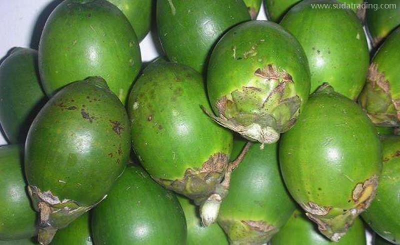 進口臺灣新鮮檳榔報關的流程以及資料,get到了嗎