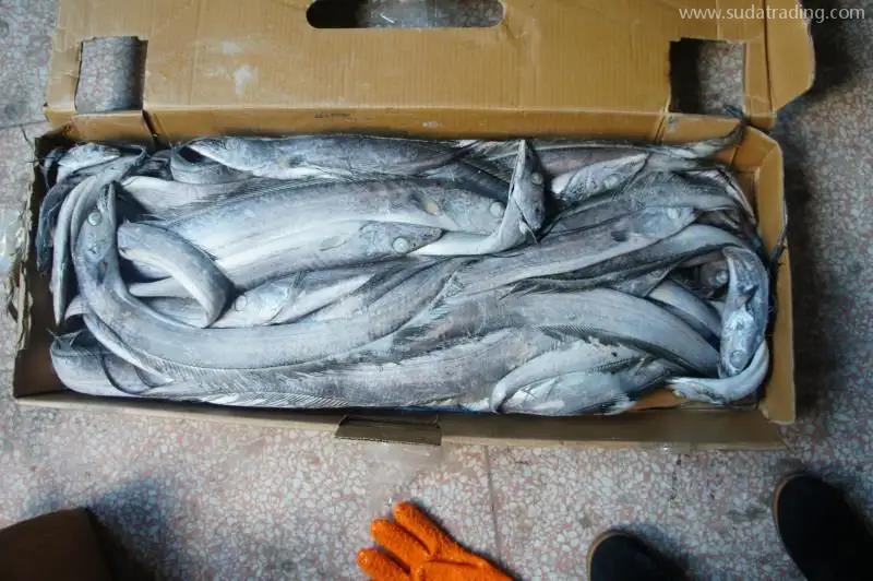 青島凍品進口清關(guān)公司哪家好 青島凍品進口清關(guān)公司哪家好