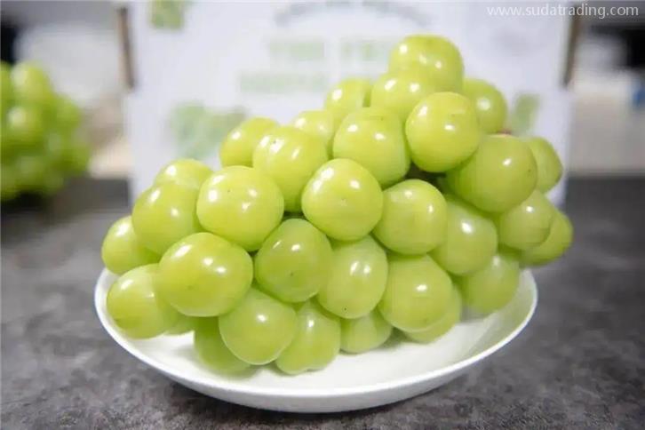 進(jìn)口韓國葡萄報關(guān)的流程及葡萄準(zhǔn)入目錄名單 進(jìn)口韓國葡萄報關(guān)的流程及葡萄準(zhǔn)入目錄名單