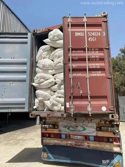 越南鴨毛進口報關代理公司指導你如何進口鴨毛