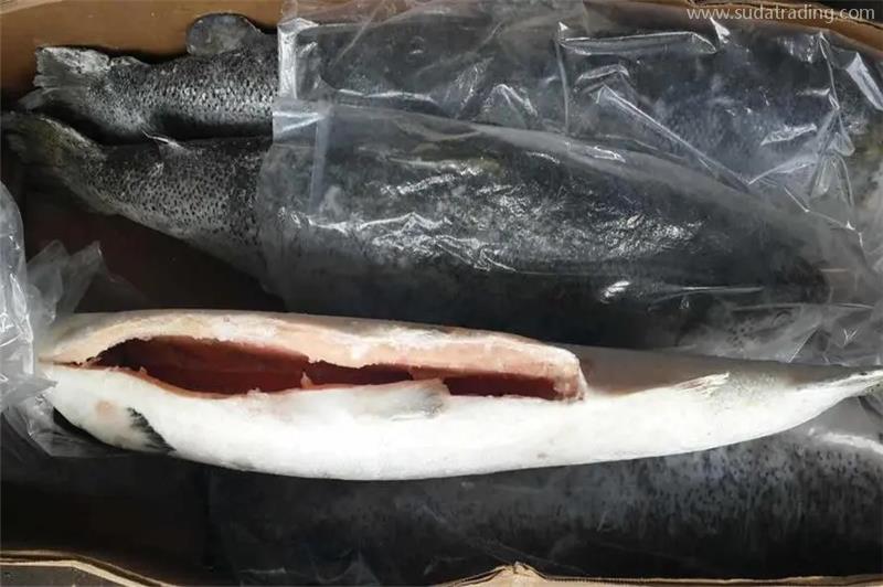 進口挪威三文魚清關注意事項看這里了解