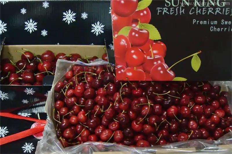 北京水果進口報關公司推薦哪家代理服務