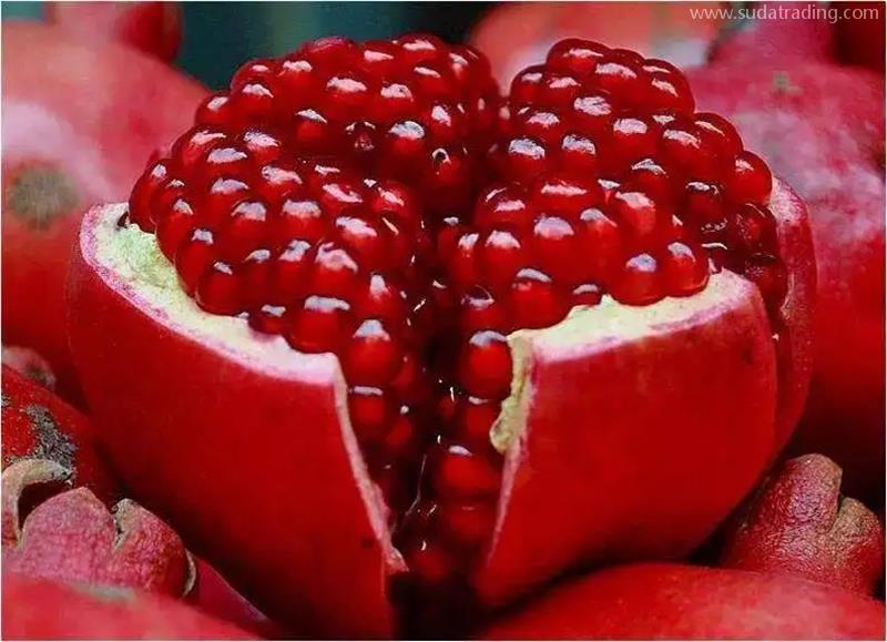 埃及石榴進口清關石榴進口報關清關流程手續