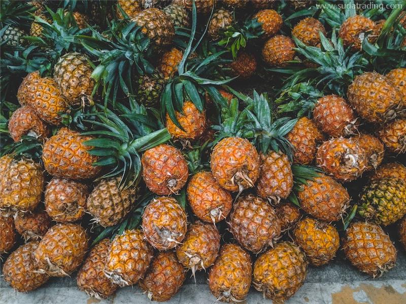 上海進口印度尼西亞菠蘿報關的流程資料