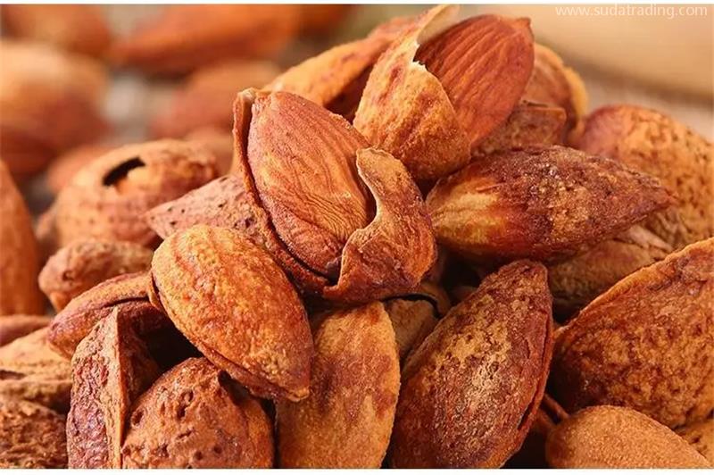 進口巴基斯坦干果報關一般貿易進口服務