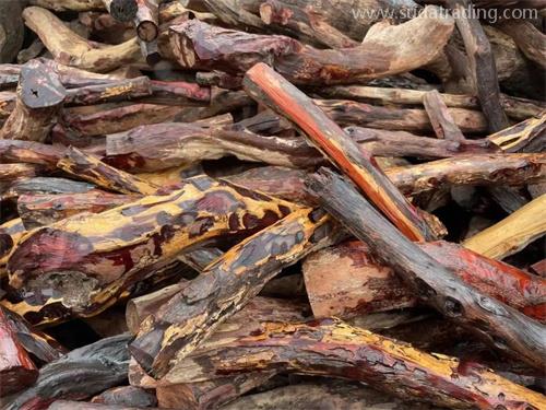 瀕危野生動植物及其產品進出口小知識