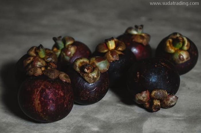 關于進口印尼山竹報關的那一兩件事 關于進口印尼山竹報關的那一兩件事